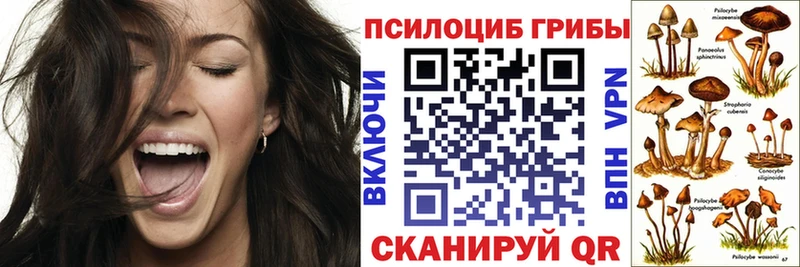 Галлюциногенные грибы Magic Shrooms  Купить закладки  Петровск-Забайкальский 