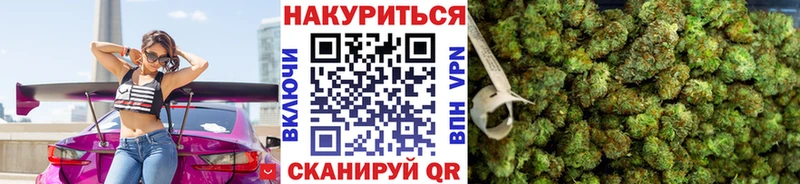 Канабис семена  Купить закладки  Петровск-Забайкальский 
